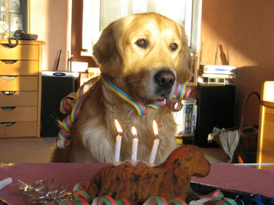 Bon anniversaire